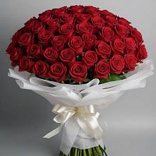 Букет 101 Красная роза Блэк Мэджик в Погорелках