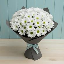 Букет цветов из:  Хризантемы #REPLACE_PRED# Погорелках