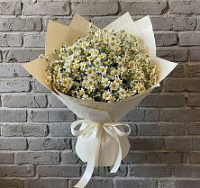 Букет цветов из:  Ромашки в Погорелках