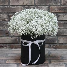 Цветочная композиция из Гипсофила в шляпной коробке в Погорелках