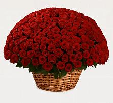 Премиум букет из: Розы #REPLACE_PRED# Погорелках